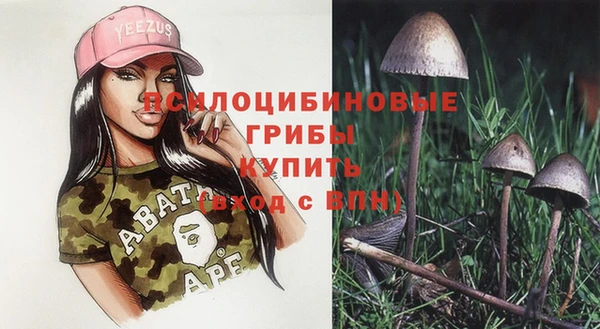 стафф Протвино