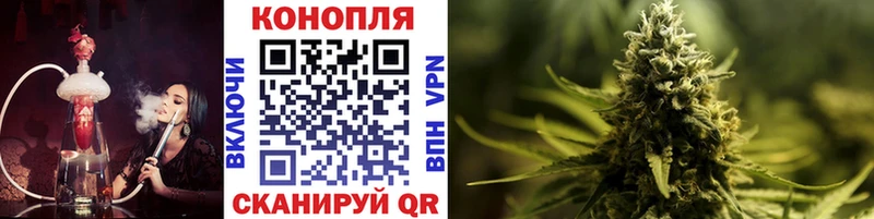 Бошки марихуана Amnesia  Аргун 